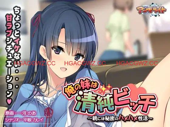 【ADV/AI汉化/全CG存档】我的妹妹是清纯碧池～瞒着父母的秘密性爱生活～【PC/427M】